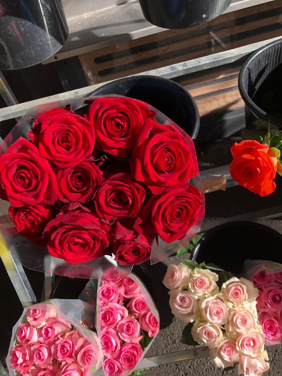 Roses Rouges