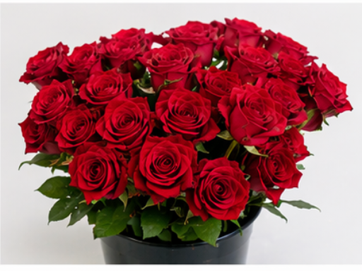 Roses Intenses